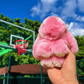 🐰 50% RABATT! 🏆 Handgefertigte Pompon-Hasen-Anhänger – Jedes Stück Unikat, Kuschelig Weich & Perfekt als Geschenk/Frühlingsdeko 🌸
