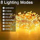 🎄Early Christmas Promotion 50% Off🎁 Copper Wire Firecracker Light String