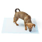🐕 50% RABATT! 🧻 Trainingspads für Hunde – 20 Stück, saugstark & praktisch ✨