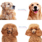 🐶 KAUFE 2, ERHALTE 1 GRATIS! 🐱 Professionelles Enthaarungs-Tool für Hunde & Katzen – Entfernt lose Haare effektiv, sanft zur Haut & einfache Reinigung – perfekt für glatte oder lange Felle 🧼