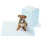 🐕 50% RABATT! 🧻 Trainingspads für Hunde – 20 Stück, saugstark & praktisch ✨