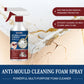 🧴 KAUFE 3, ERHALTE 3 GRATIS! 🦠 Anti-Schimmel-Reinigungsschaumspray – Magische Anti-Schimmel-Magie! – Beseitigt Schimmel, bleifrei & wirksam gegen Feuchtigkeit 🚿