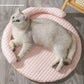 🐾 50% RABATT! 🥳 Kühlmatte für Haustiere – Weich, atmungsaktiv & abnehmbar – Hält frisch im Sommer, verhindert Überhitzung – perfekt für Hunde & Katzen 🌞🐶✨
