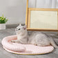 🐾 50% RABATT! 🥳 Kühlmatte für Haustiere – Weich, atmungsaktiv & abnehmbar – Hält frisch im Sommer, verhindert Überhitzung – perfekt für Hunde & Katzen 🌞🐶✨