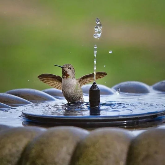 💧 50% RABATT! ☀️ Solarbetriebene Schwimmende Fontäne – Perfekt Für Miniatur-Gartensprinkler, Steingärten & Teiche Im Freien 🏡