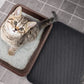 🐱 50% RABATT! 🧼 Doppellagige rutschfeste Katzenstreu-Matte für Haustiere – Fängt Streu effektiv auf, leicht zu reinigen & schont den Boden – perfekt für jede Katzentoilette 🐾