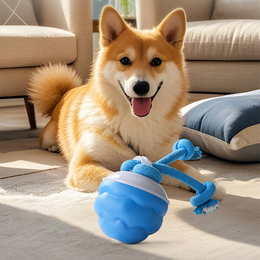 🐾 50% RABATT! 🎾 Interaktiver Elektronischer Spielball für Haustiere – Automatische Bewegung, Kaugeeignet & Beruhigend für Katzen/Hunde 🐱🐶📦
