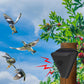 🐦 50% RABATT! ☀️ Solar-Vogelabwehr – Wasserdicht für den Außenbereich ✨