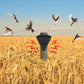 🐦 50% RABATT! ☀️ Solar-Vogelabwehr – Wasserdicht für den Außenbereich ✨