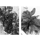 🌱 50% RABATT! 💧 Einstellbarer automatischer Bewässerungstimer – Programmierbar, zuverlässig & wassersparend – Perfekt für Pflanzen im Garten, Balkon & Gewächshaus 🌿