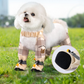 🐕 50% RABATT! 🌿 Anti-Staub-Hundehose – Atmungsaktiv, waschbar & verstellbar ✨