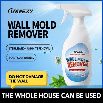 🏡 50% RABATT! 🧼 Hochwirksames Schimmelentferner-Spray – Kraftvoll & einfach ✨