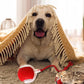 🐾 50% RABATT! 🔥 Intelligenter selbstrollender Ball – Hindernissensor, aufladbar & leicht – Perfekt für Hunde & Katzen – 3 Farben, interaktiver Spielspaß für drinnen und draußen 🎾