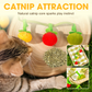 🐱 KAUFE 2, ERHALTE 1 GRATIS! 🎉 Interaktives Katzenminze Spielzeug – Fruchtförmig, Beweglicher Schwanz & Aufregende Gerüche 📦