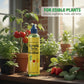 🌱 KAUFE 1, ERHALTE 1 GRATIS! 🍅 Gemüse- & Obstdünger – Keine Verdünnung Nötig, Einfache Anwendung & Schnelle Wirkung ✨