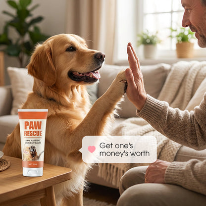 🐾 KAUFE 1, ERHALTE 1 GRATIS! 🐶 Lindernder Pfotenbalsam für Hunde & Katzen – Beruhigt Rissige Ballen, Schnelle Heilung & Ungiftige Formel 🐱