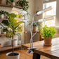🌱 60% RABATT! 💡 LED-Pflanzenlampe mit Timer und Klemmhalter – Vollspektrum, Flexibler Schwanenhals & Einfache Montage 🌿