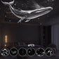 🌌 50% RABATT! 🔥 2-in-1 Sternenhimmel-Projektor & Nachtlicht – Beruhigende Galaxie-Projektion – Perfekt für Kinderzimmer, Schlafzimmer & Entspannung – schafft eine magische Atmosphäre ✨