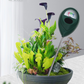 🌱 50% RABATT! 💧 Bodenfeuchtemessgerät – Für Innen- & Außenpflanzen ✨