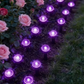 💡 50% RABATT! ☀️ Solarbetriebene Gartenwegleuchten – Automatisches Ein/Aus, wasserdicht – Ideal für Wege, Einfahrten & Terrassen – energiesparend & langlebig 🌿🌙✨