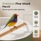 🐦 50% RABATT! 🚿 Elektrisches Vogelbad mit Regendusche & Sitzstange – Leise Pumpe, Zirkulierendes Wasser & Ideal Für Vogelbegeisterte Im Garten 🌿