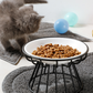 🐱 60% RABATT! 🥣 Erhöhter Keramik-Katzennapf mit Eisenständer – Schont Die Haltung, Rutschfest & Ideal Für Trocken- & Nassfutter 🐈