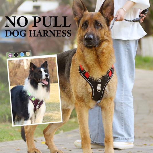 🐕 50% RABATT! 🔦 Hundegeschirr Ohne Zugkraft mit Leine & LED-Halsband – Lindert Druck, Weiches Nylon & Ideal Für Nächtliche Spaziergänge & Training 🌙