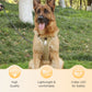 🐕 50% RABATT! 🔦 Hundegeschirr Ohne Zugkraft mit Leine & LED-Halsband – Lindert Druck, Weiches Nylon & Ideal Für Nächtliche Spaziergänge & Training 🌙