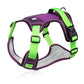 🐕 50% RABATT! 🔦 Hundegeschirr Ohne Zugkraft mit Leine & LED-Halsband – Lindert Druck, Weiches Nylon & Ideal Für Nächtliche Spaziergänge & Training 🌙