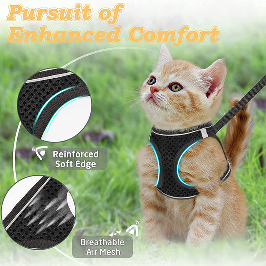 🐾 50% RABATT! 🦺 Reflektierendes Mesh-Geschirr mit Leine für Katzen & Kleine Hunde – Leicht, Verstellbar & Ideal Für Nächtliche Spaziergänge, Sicherheit Im Dunkeln 🌙