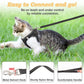 🐾 50% RABATT! 🦺 Reflektierendes Mesh-Geschirr mit Leine für Katzen & Kleine Hunde – Leicht, Verstellbar & Ideal Für Nächtliche Spaziergänge, Sicherheit Im Dunkeln 🌙