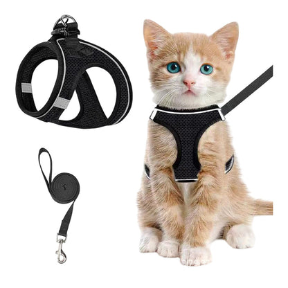🐾 50% RABATT! 🦺 Reflektierendes Mesh-Geschirr mit Leine für Katzen & Kleine Hunde – Leicht, Verstellbar & Ideal Für Nächtliche Spaziergänge, Sicherheit Im Dunkeln 🌙