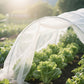 🦟 50% RABATT! 🌱 Insektenschutznetz für Gewächshäuser – Alterungsbeständig, zuschneidbar & ideal für Pflanzen, Obst & Gemüse 🍅