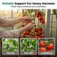 🌿 KAUFE 2, ERHALTE 1 GRATIS! 🌞 100-teilige Schnellklett-Pflanzenclips – Unsichtbare Pflanzenstütze für Tomaten & Gurken – Belüftet & UV-beständig – einfach anzubringen und wiederverwendbar für starke, gesunde Pflanzen 🍅✨