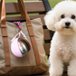 🐕 50% RABATT! 💧 Tragbare Haustier-Wasserflasche aus 304-Edelstahl – Inkl. faltbarem Trinknapf, auslaufsicher & praktisch – Ideal für Spaziergänge & Reisen mit Ihrem Hund 🐾