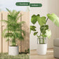 🌱 50% RABATT! 🪴 Pflanzenstützen für drinnen & draußen – Verstellbar, stabil & ideal für Tomaten, Blumen und Kletterpflanzen – fördert gesundes Wachstum 🌿
