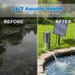 🐟 50% RABATT! 💨 Solar-Teichbelüfter mit Luftpumpe – Solarbetrieben, leise & effizient – Für sauberes Wasser & gesunde Fische im Gartenteich 🌿