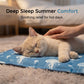 🐾 50% RABATT! 🥳 Mit Wasser gefülltes Sommer-Haustierbett – Kühlt natürlich & ohne Strom – Perfekt für heiße Tage, waschbar & rutschfest – Entspannung für Hund & Katze 🌊🐶✨