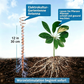 🌿 KAUFE 2, ERHALTE 1 GRATIS! 🔥 Elektro-Kultur-Kupferantenne – Fördert Pflanzenwachstum & Bodenqualität – Einfach anzuwenden, langlebig & nachhaltig – ideal für Garten oder Landwirtschaft 🌱✨⚡