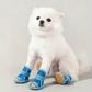 🐶 KAUFE 2, ERHALTE 1 GRATIS! ☀️ Hundeschuhe aus Mesh – Leicht, rutschfest & vielseitig – Ideal für Innen, Außen & jedes Gelände 🐾