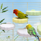 ☁️ 50% RABATT! 🐦 Niedliche wolkenförmige Vogelstange Plattform – Weiche Textur & rutschfeste Oberfläche – Ideal für Papageien, Sittiche oder kleine Vögel – einfache Befestigung & bequemer Halt – bringt Spaß in jeden Käfig 🌈✨