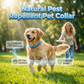 🐾 KAUFE 1, ERHALTE 1 GRATIS! 🛡️ Halsband mit natürlichen ätherischen Ölen – Schädlingsabwehr für Haustiere – Sicher & effektiv – ideal für Hunde & Katzen – schützt vor Flöhen & Zecken 🌿🐶🐱✨