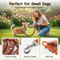 🐶 50% RABATT! 🌭 Witzige Würstchen-Hundeleine – Langlebig & mit lustigem Design – Ideal für Spaziergänge, Training oder als Blickfang – bequemer Griff & sicheres Handling 🐾✨🎉