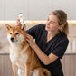 🐶 KAUFE 1, ERHALTE 1 GRATIS! 👂 Tierohrreiniger – Sanft, mit Silikonspitze & für Hunde & Katzen ✨
