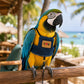 🦜 50% RABATT! 💖 Atmungsaktives Vogel-Geschirr-Weste – Leicht, verstellbar & sicher – Ideal für Spaziergänge & Ausflüge mit deinem Vogel ☁️