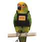 🦜 50% RABATT! 💖 Atmungsaktives Vogel-Geschirr-Weste – Leicht, verstellbar & sicher – Ideal für Spaziergänge & Ausflüge mit deinem Vogel ☁️