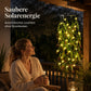 🌿 50% RABATT! 💡 Solar-Hängelichterkette Weidenblatt – Solarbetrieben, wasserdicht & warmes Licht – Perfekte Garten- & Terrassen-Deko für gemütliche Abende 🌙