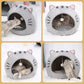 🏕️ 50% RABATT! 🐾 2-in-1 Haustierzelt & -bett – Schützend, kuschelig & leicht faltbar – Ideal für Hund & Katze – drinnen & unterwegs 🐕