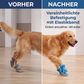 🐶 KAUFE 2, ERHALTE 1 GRATIS! ☀️ Hundeschuhe aus Mesh – Leicht, rutschfest & vielseitig – Ideal für Innen, Außen & jedes Gelände 🐾