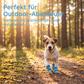 🐶 KAUFE 2, ERHALTE 1 GRATIS! ☀️ Hundeschuhe aus Mesh – Leicht, rutschfest & vielseitig – Ideal für Innen, Außen & jedes Gelände 🐾